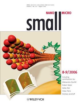 Small 2006 Cover
