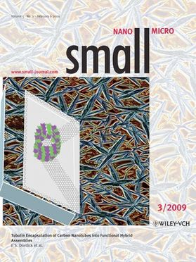 Small 2009 Cover
